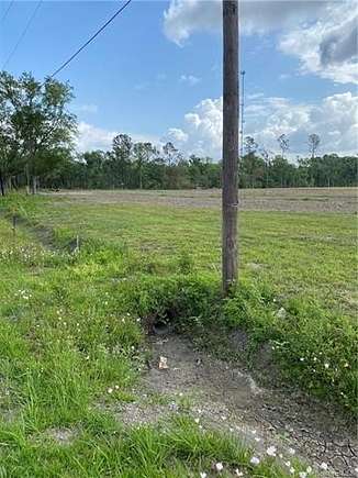 29.357 Acres of Land for Sale in Vinton, Louisiana