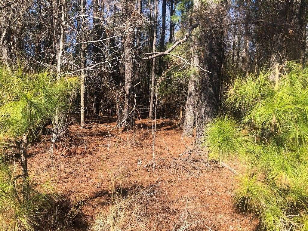1.38 Acres of Residential Land for Sale in Pamplico, South Carolina