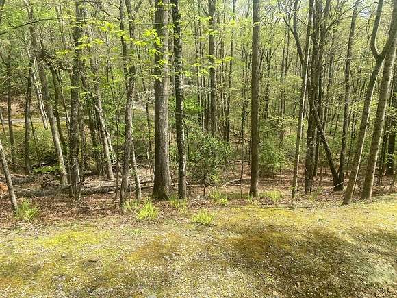 1 Acre of Residential Land for Sale in Cowee Township, North Carolina