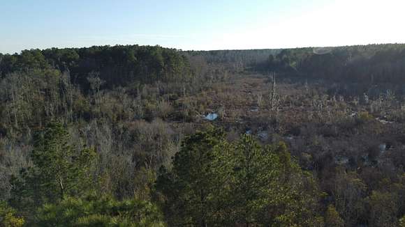 270 Acres of Recreational Land for Sale in Ridgeville, South Carolina