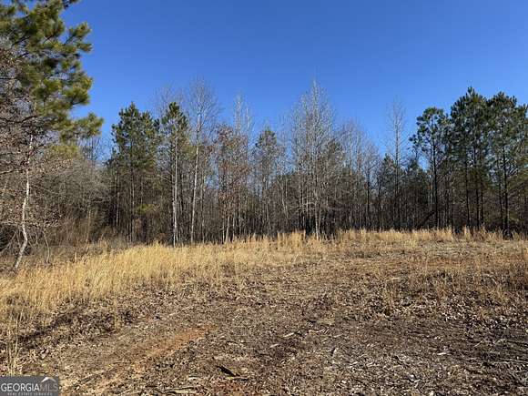 27.72 Acres of Land for Sale in Franklin, Georgia