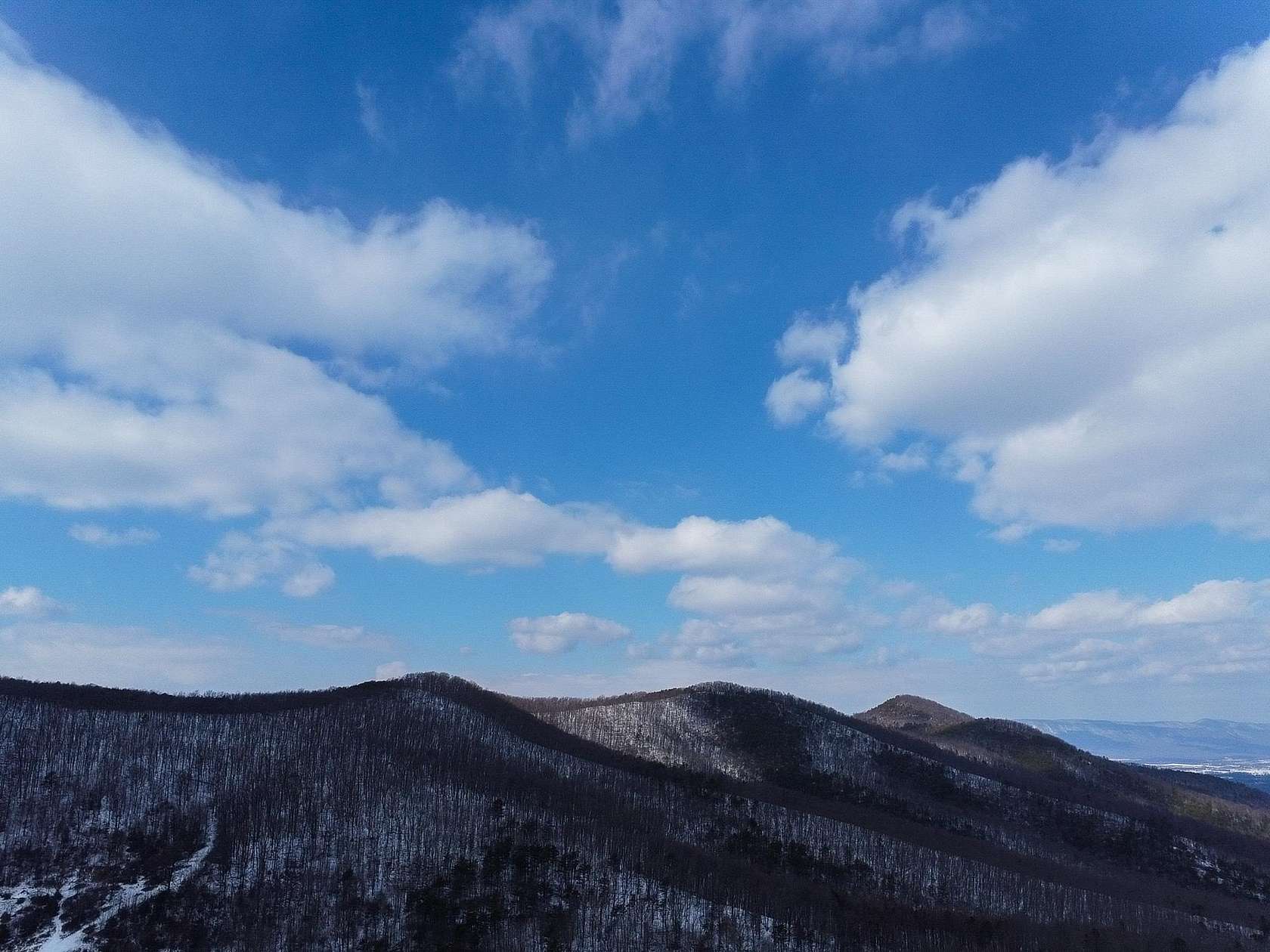 40.6 Acres of Land for Sale in Stanley, Virginia