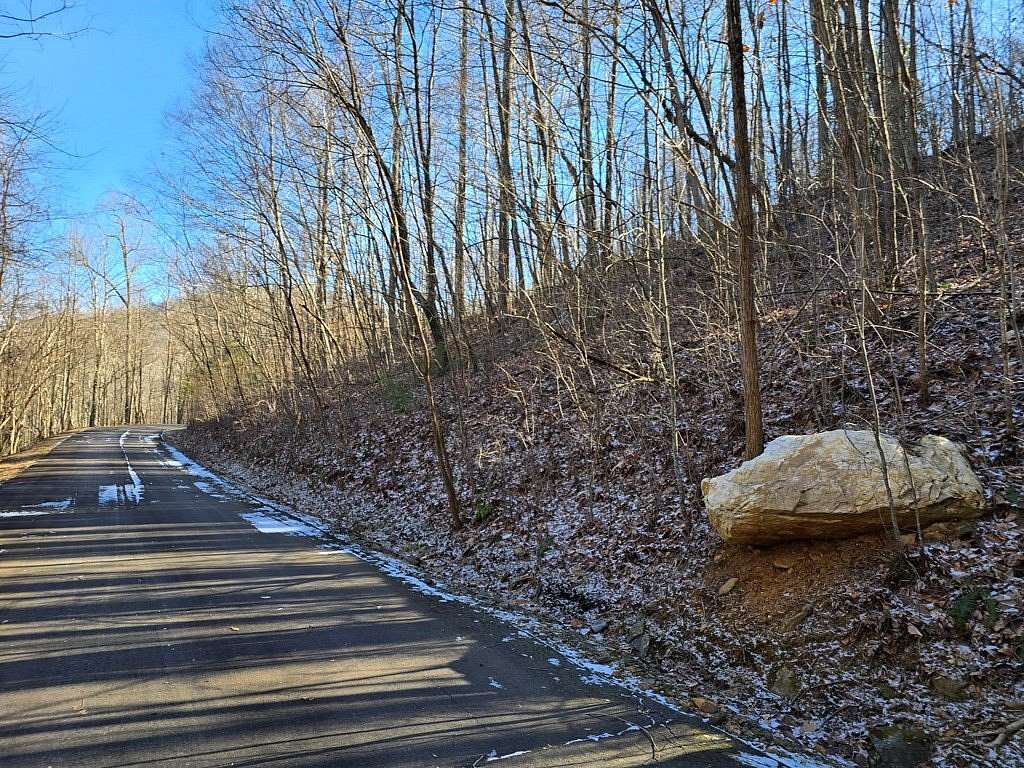 1 Acre of Residential Land for Sale in Young Harris, Georgia