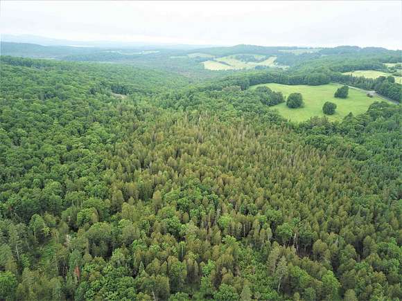 39.1 Acres of Recreational Land for Sale in Morgan, Vermont