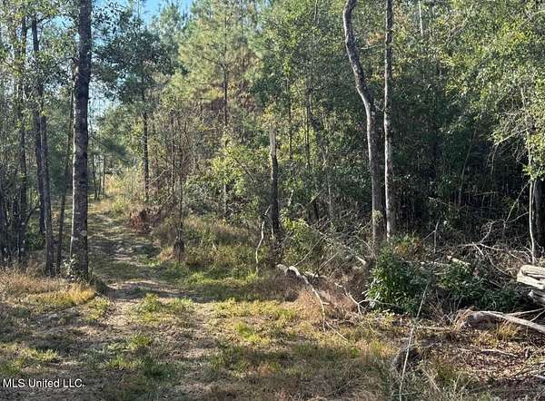 22.9 Acres of Land for Sale in Wiggins, Mississippi