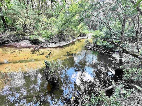 9.72 Acres of Residential Land for Sale in Silverhill, Alabama