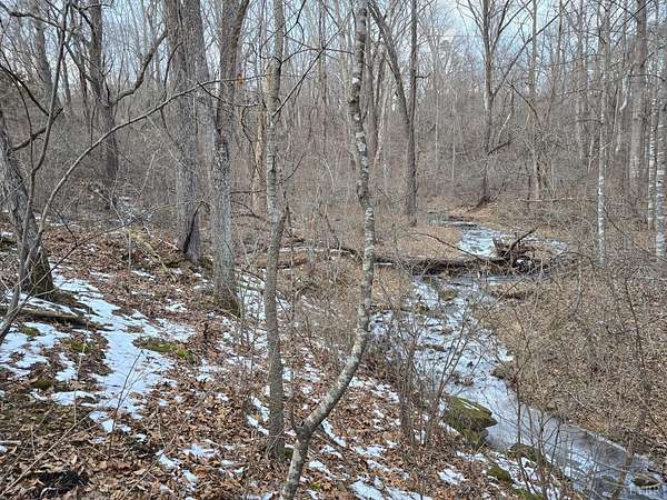 2 Acres of Land for Sale in Thaxton, Virginia