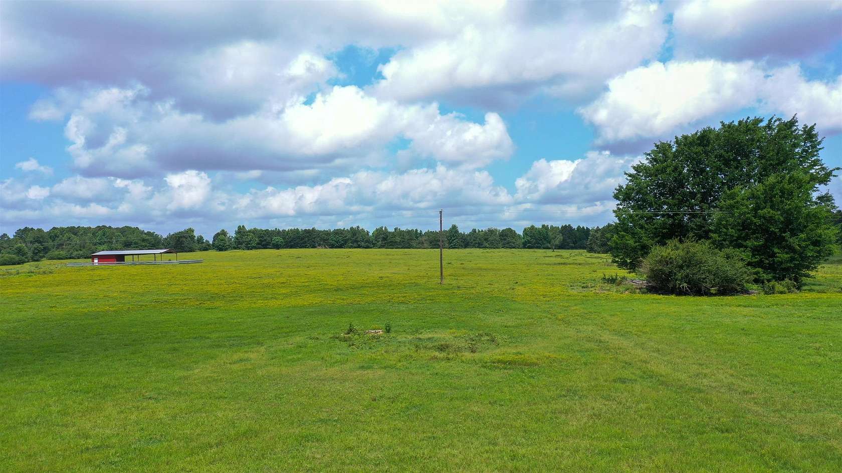 156 Acres of Land for Sale in Linden, Texas