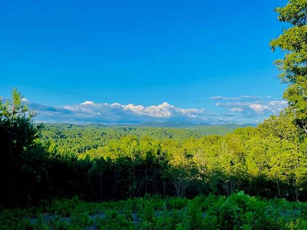 5.6 Acres of Residential Land for Sale in Talking Rock, Georgia