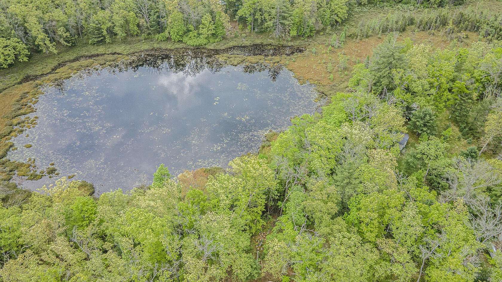 0.78 Acres of Land for Sale in Idlewild, Michigan