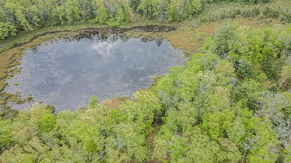 0.78 Acres of Land for Sale in Idlewild, Michigan