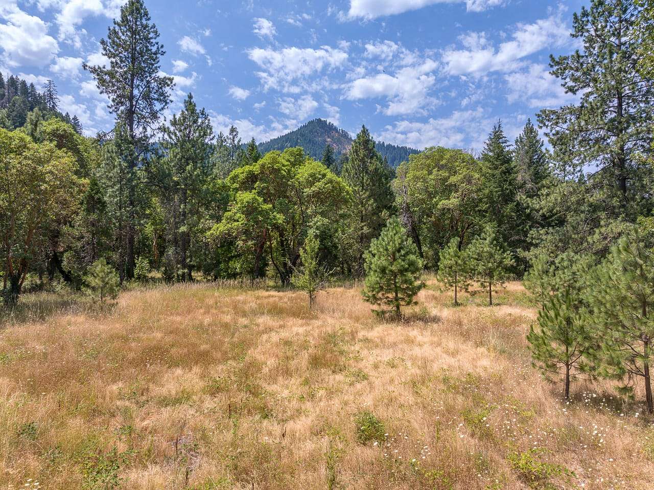 2 Acres of Mixed-Use Land for Sale in Wolf Creek, Oregon