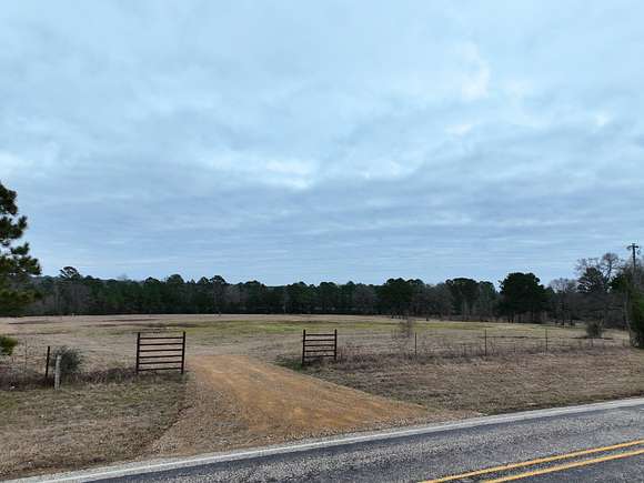 13.95 Acres of Agricultural Land for Sale in Bivins, Texas