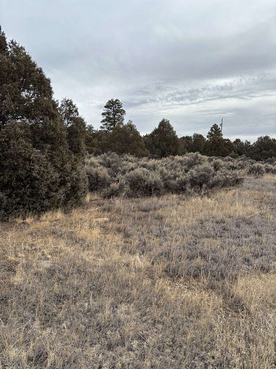 2.14 Acres of Residential Land for Sale in Rutheron, New Mexico