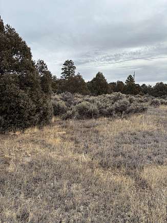 2.14 Acres of Residential Land for Sale in Rutheron, New Mexico