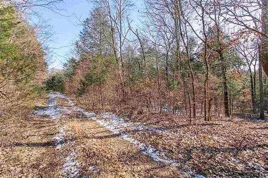 5 Acres of Land for Sale in Williford, Arkansas