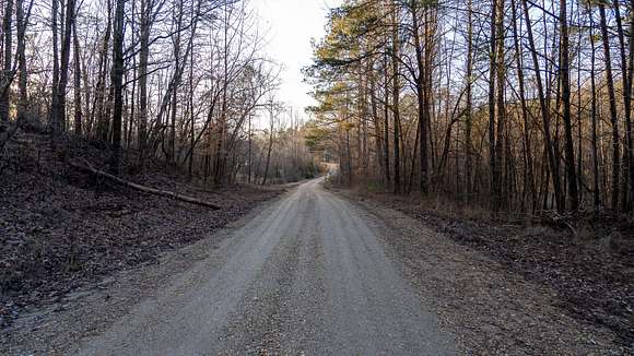 143 Acres of Recreational Land & Farm for Sale in Russellville, Alabama