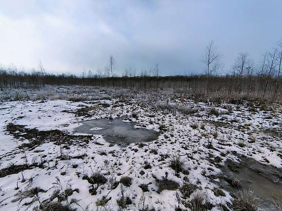 39.98 Acres of Recreational Land & Farm for Sale in Butternut, Wisconsin