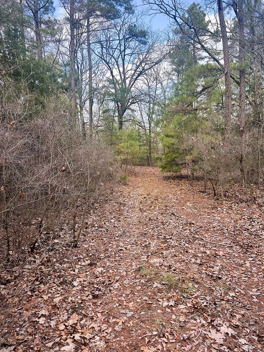 21.5 Acres of Land for Sale in Winnsboro, Texas