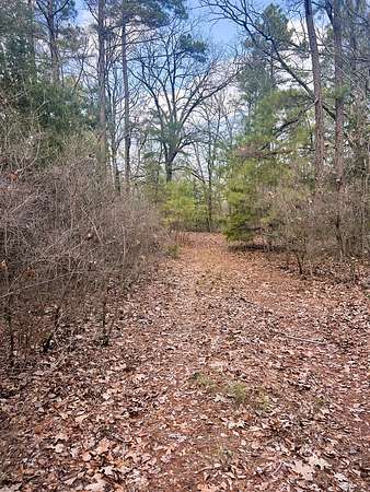 21.5 Acres of Land for Sale in Winnsboro, Texas