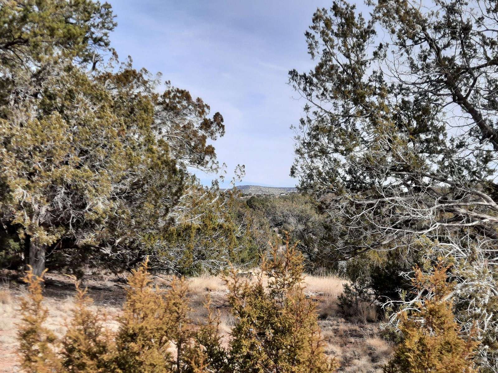 1.86 Acres of Land for Sale in Seligman, Arizona