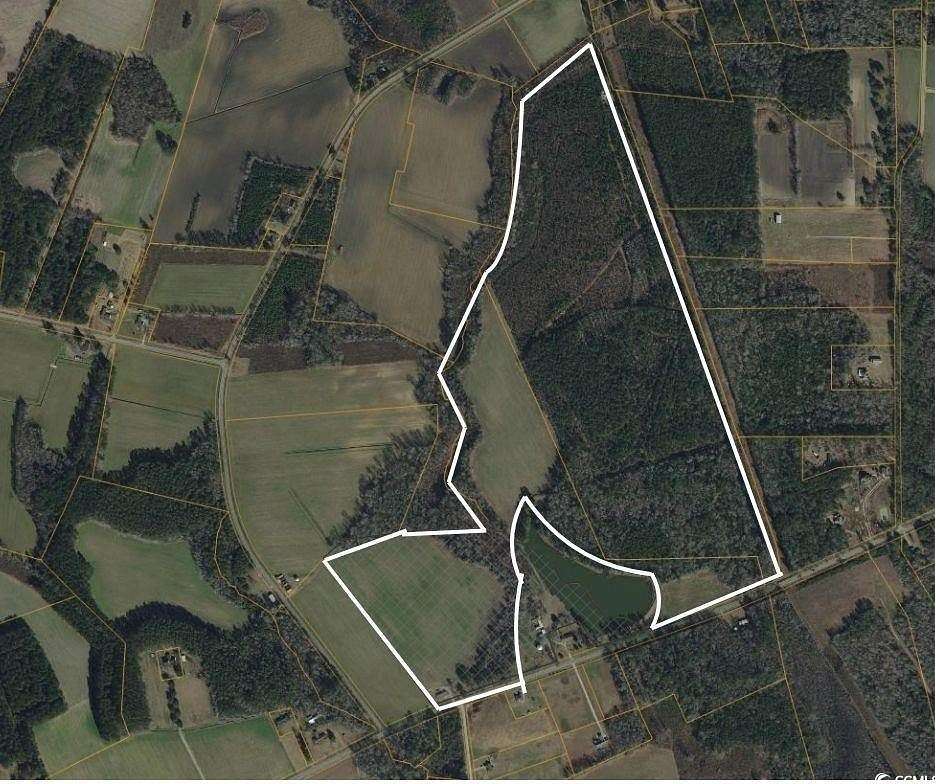 140 Acres of Recreational Land for Sale in Green Sea, South Carolina