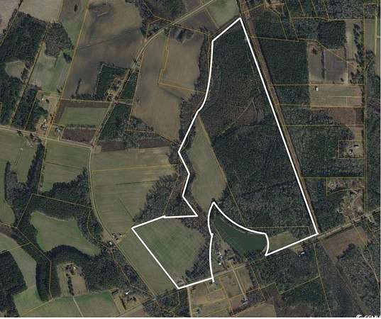 140 Acres of Recreational Land for Sale in Green Sea, South Carolina