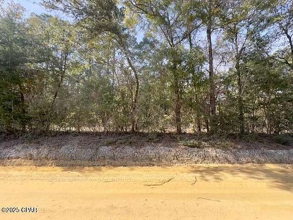 10 Acres of Recreational Land for Sale in Caryville, Florida