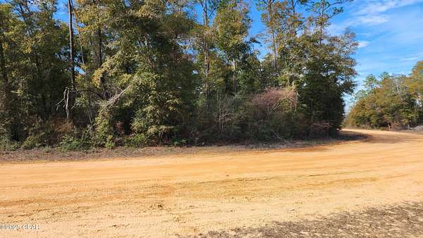 1.1 Acres of Land for Sale in Alford, Florida