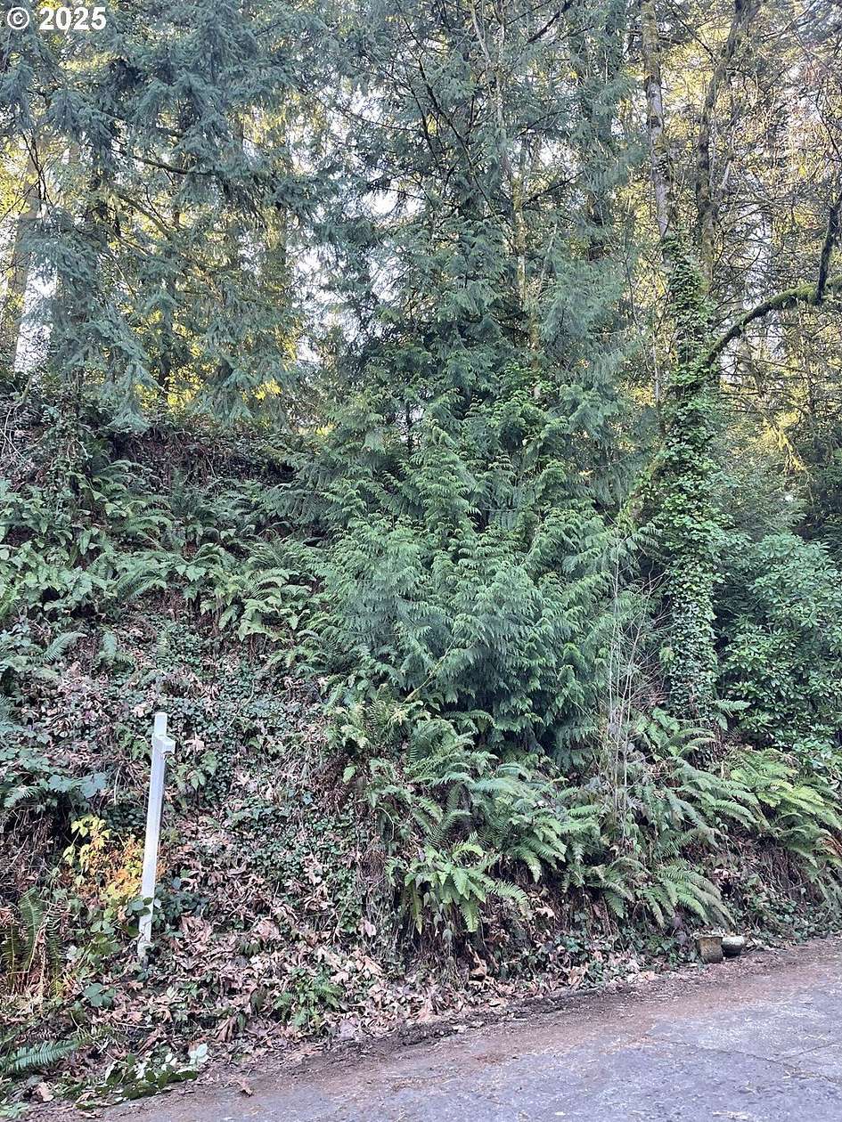 0.12 Acres of Residential Land for Sale in Portland, Oregon