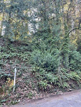 0.12 Acres of Residential Land for Sale in Portland, Oregon