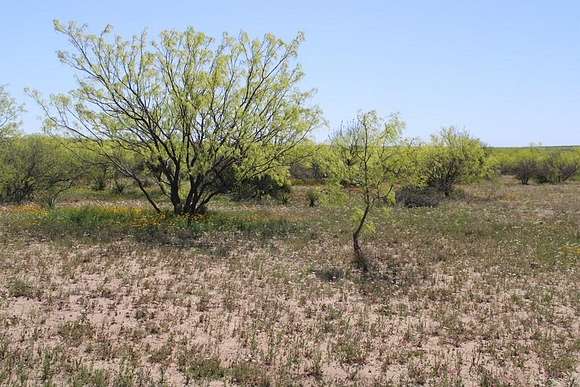 185 Acres of Recreational Land & Farm for Sale in Ballinger, Texas