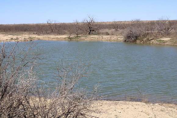 242 Acres of Recreational Land & Farm for Sale in Ballinger, Texas