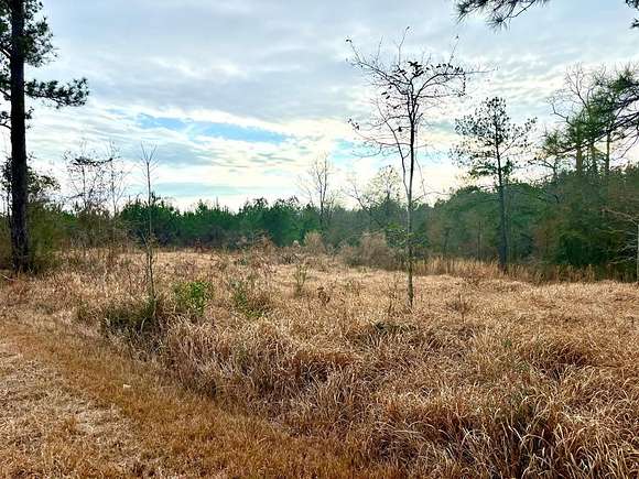 5.39 Acres of Land for Sale in Poplarville, Mississippi