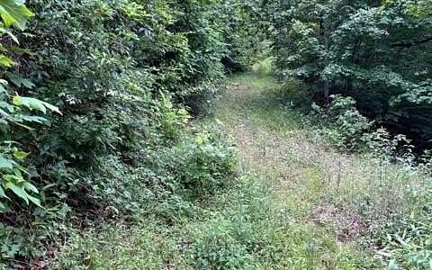 97.8 Acres of Land for Sale in Blairsville, Georgia