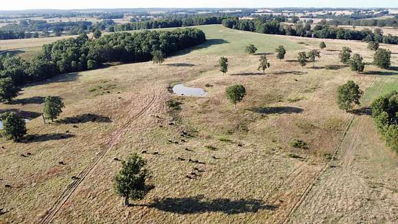 28 Acres of Agricultural Land for Sale in Mountain Grove, Missouri