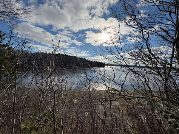 15 Acres of Land for Sale in Machiasport, Maine