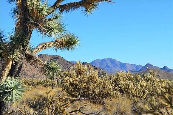 2.35 Acres of Residential Land for Sale in Yucca, Arizona