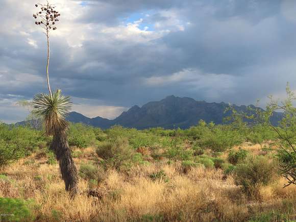 20 Acres of Recreational Land & Farm for Sale in San Simon, Arizona