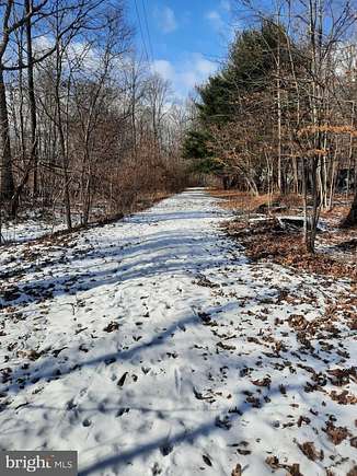 33.46 Acres of Recreational Land for Sale in Upper Black Eddy, Pennsylvania