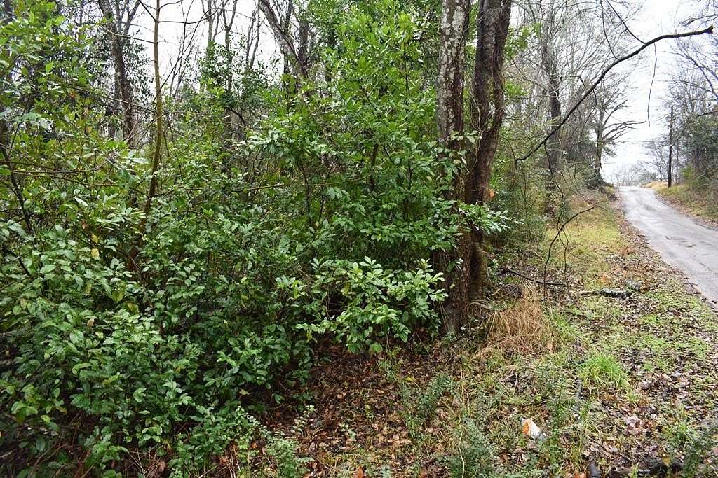 0.16 Acres of Residential Land for Sale in Palestine, Texas