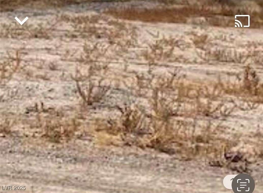 2.5 Acres of Mixed-Use Land for Sale in Pahrump, Nevada