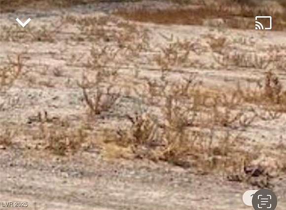 2.5 Acres of Mixed-Use Land for Sale in Pahrump, Nevada