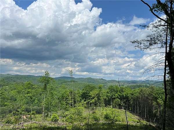 50 Acres of Recreational & Residential Land for Sale in Scottville, North Carolina