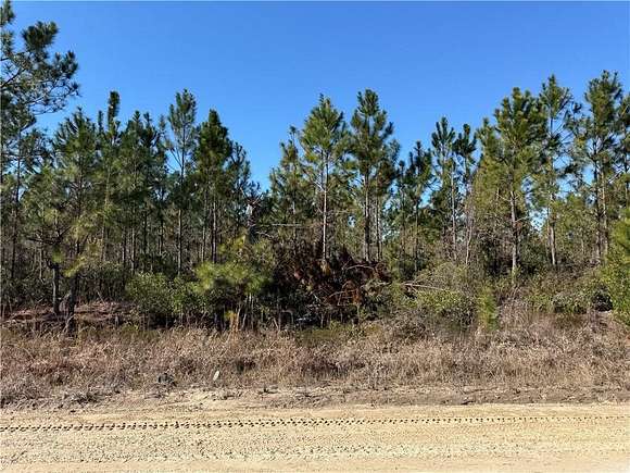 6.09 Acres of Land for Sale in Waycross, Georgia