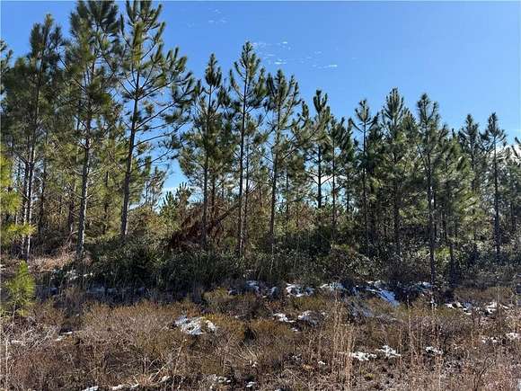 2.25 Acres of Land for Sale in Waycross, Georgia