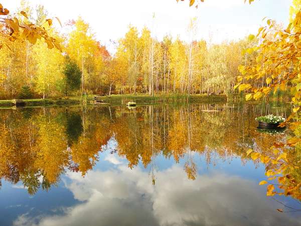 2.86 Acres of Residential Land for Sale in Saranac, New York