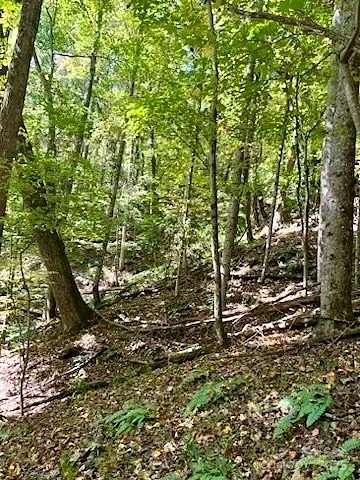 4.73 Acres of Land for Sale in Mills River, North Carolina