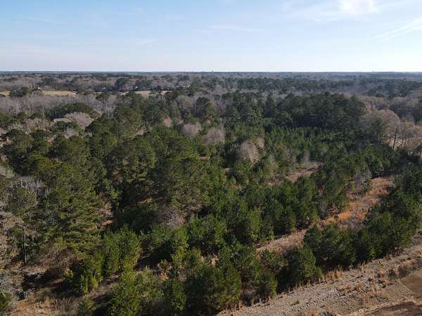 19 Acres of Mixed-Use Land for Sale in Dothan, Alabama