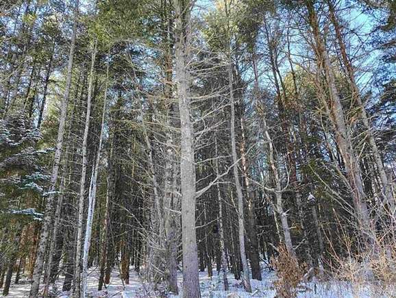 11.2 Acres of Recreational Land with Home for Sale in Wetmore, Michigan